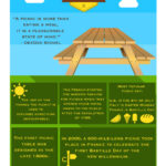 Picnic Day Infographic