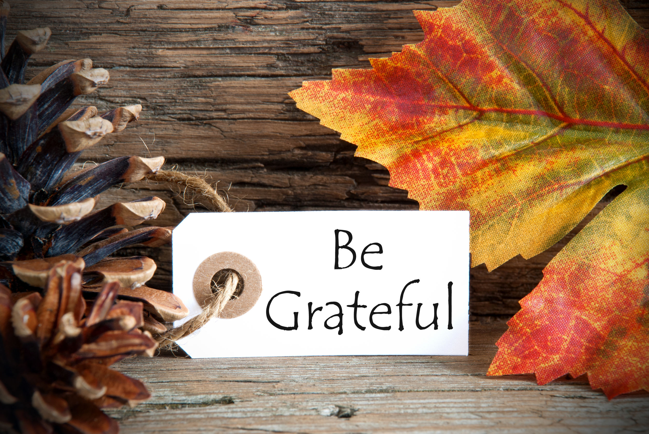 Fall Grateful Sign