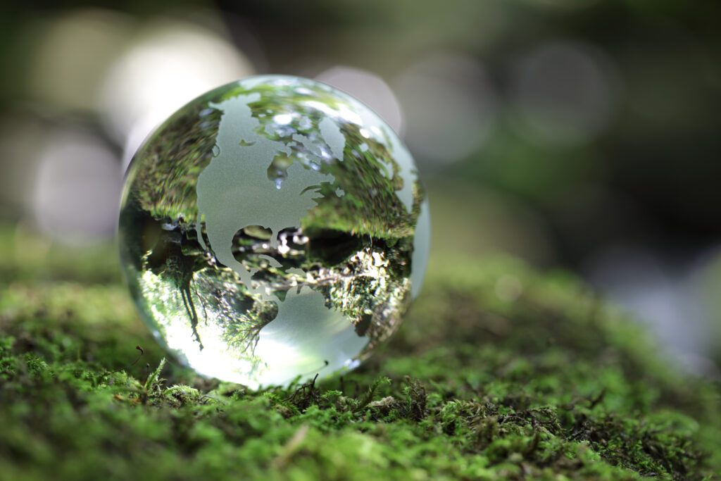 Glass globe resting on moss stone in a forest